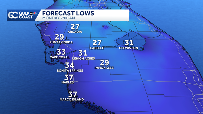 monday morning lows