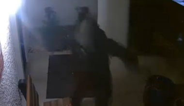 Suspect arrested for $70,000 vandalism spree in downtown Orlando