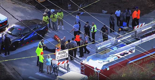 manatee stuck in storm drain