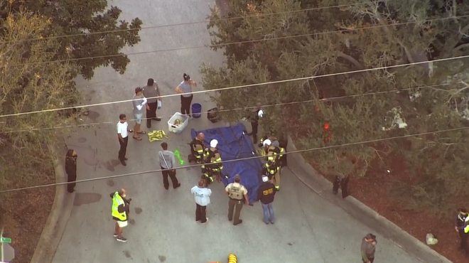manatee stuck in storm drain