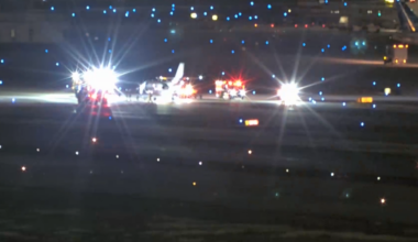 Plane strikes multiple deer during takeoff at Florida airport