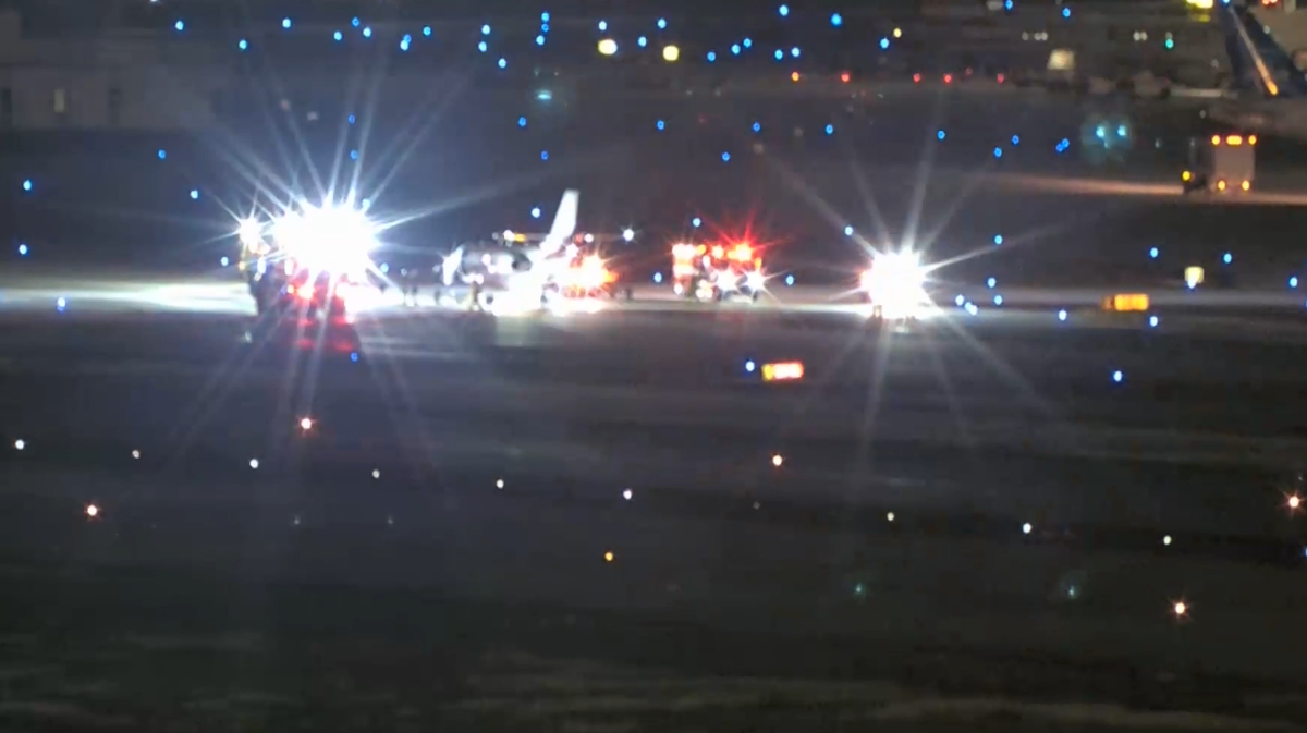 Plane strikes multiple deer during takeoff at Florida airport