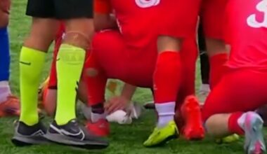 Watch: Soccer players rush to help seagull struck by ball mid-flight