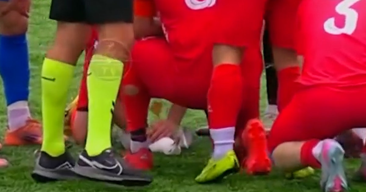 Watch: Soccer players rush to help seagull struck by ball mid-flight