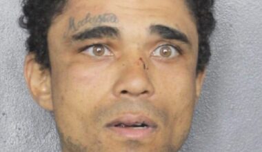 'Reckless chain of events' caused crash during BSO pursuit