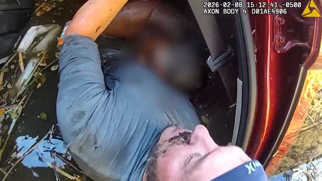 florida man jumps into canal to save mother and 3 children, reunites with family one week later