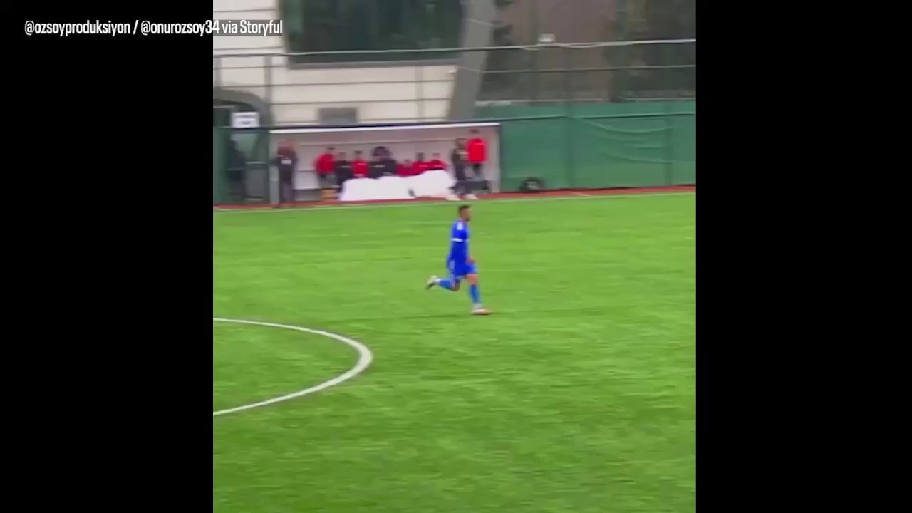 Soccer player does CPR on seagull hit by soccer ball