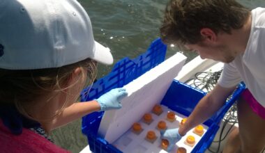 Shrinking Shellfish? Risks of Acidic Water in the Indian River Lagoon