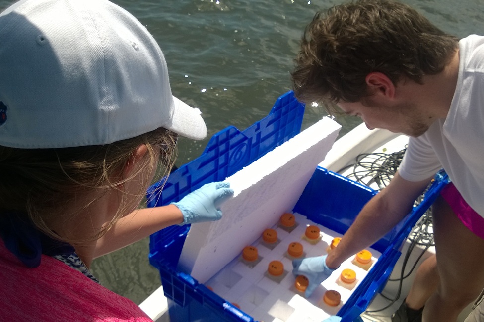 Shrinking Shellfish? Risks of Acidic Water in the Indian River Lagoon