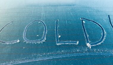 February Temperature Outlook: When Will FL Get Break From Cold