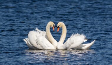 We want your love (and hate) letters to Orlando