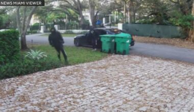 Multiple thieves caught on camera breaking into homes and cars in a Pinecrest neighborhood, police say