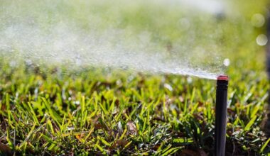 City of St. Petersburg Issues Updated Once-a-Week Irrigation Schedule Amid Drought Alert