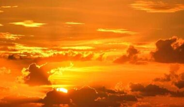 Fun things to do in South Florida