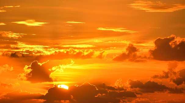 Fun things to do in South Florida