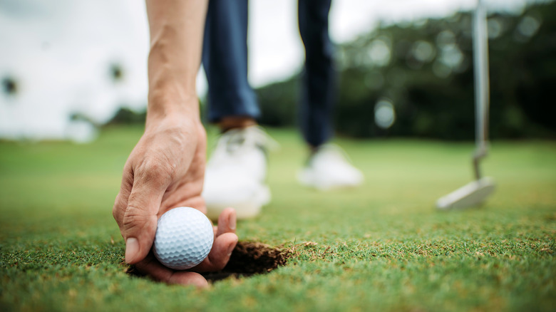 Man's hand picking up golf ball out of hole.