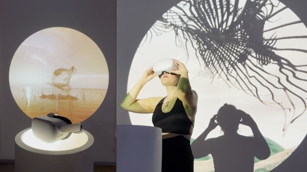 "In Search of Light 2," an immersive VR and laser-based installation from Miguel Gonzalez, can be found at MAD Arts in Dania Beach during the annual IGNITE Broward festival, returning Feb. 13-22. (IGNITE Broward / Courtesy)