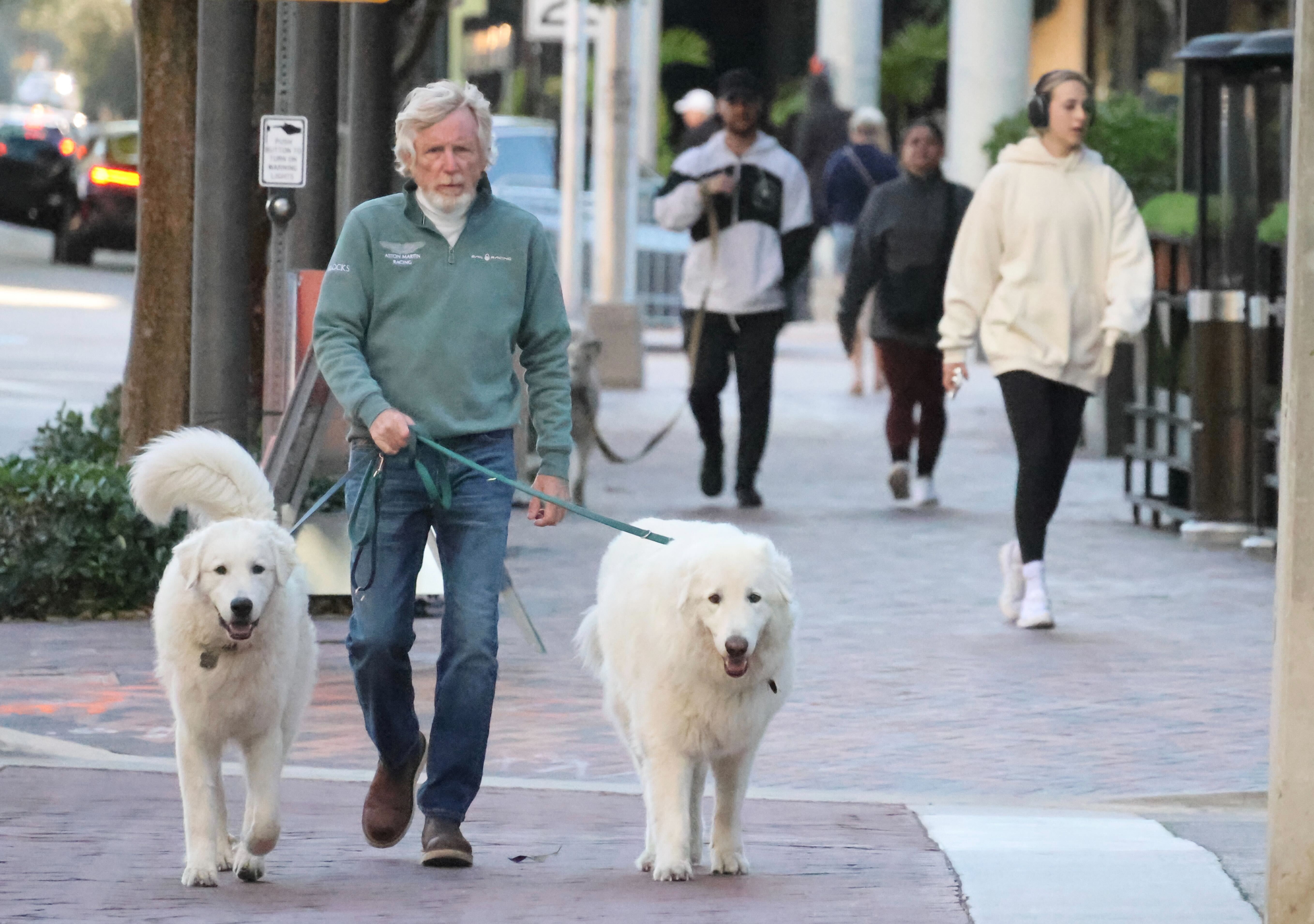 Glenn Rice walks his Italian Maremma dogs on a brisk morning on Las Olas Blvd. in Fort Lauderdale on Monday. Tuesday is expected to be the coldest morning of the week as temperatures dive into the 20s and 30s, though a slight break arrives Wednesday, Feb. 25, 2026, with highs climbing back into the 70s. (Joe Cavaretta/South Florida Sun Sentinel)