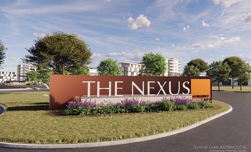 Regency Square Mall buyer Blackwater Development said it is rebranding the property as The Nexus at Regency. It said the project's monument entry signs will use repurposed brick from Regency Square Mall and that the word 