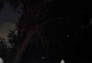 Snowflakes caught falling in Oviedo during Central Florida freeze