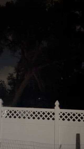 Snowflakes caught falling in Oviedo during Central Florida freeze