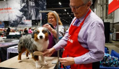 Tourist tax in Orange County continued record run in December,