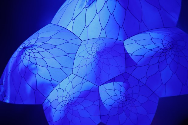 The Architects of Air Arborialis walk-through experience at the Seneff Arts Plaza at the Dr. Phillips Center for the Performing Arts on Friday, 2026. The large, cavernous 17,000-square-foot inflatable structure of fabric and air creates a colorful labyrinth connected by domes and vibrant walkways. It is filled with ephemeral music for an otherworldly experience that guests can explore as part of Immerse 2026. (Rich Pope/Orlando Sentinel)