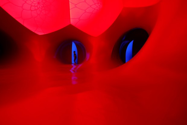 Cassius Guimaraes explorse the Architects of Air Arborialis walk-through experience at the Seneff Arts Plaza at the Dr. Phillips Center for the Performing Arts on Friday, 2026. The large, cavernous 17,000-square-foot inflatable structure of fabric and air creates a colorful labyrinth connected by domes and vibrant walkways. It is filled with ephemeral music for an otherworldly experience that guests can explore as part of Immerse 2026.(Rich Pope/Orlando Sentinel)