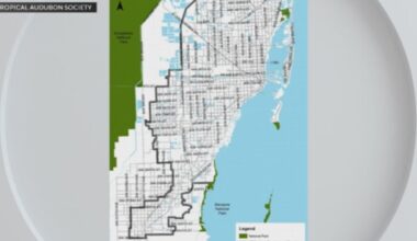 State representative pushes land-use bill critics claim endangers Florida Everglades protection