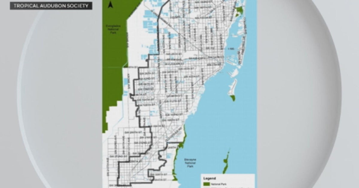 State representative pushes land-use bill critics claim endangers Florida Everglades protection