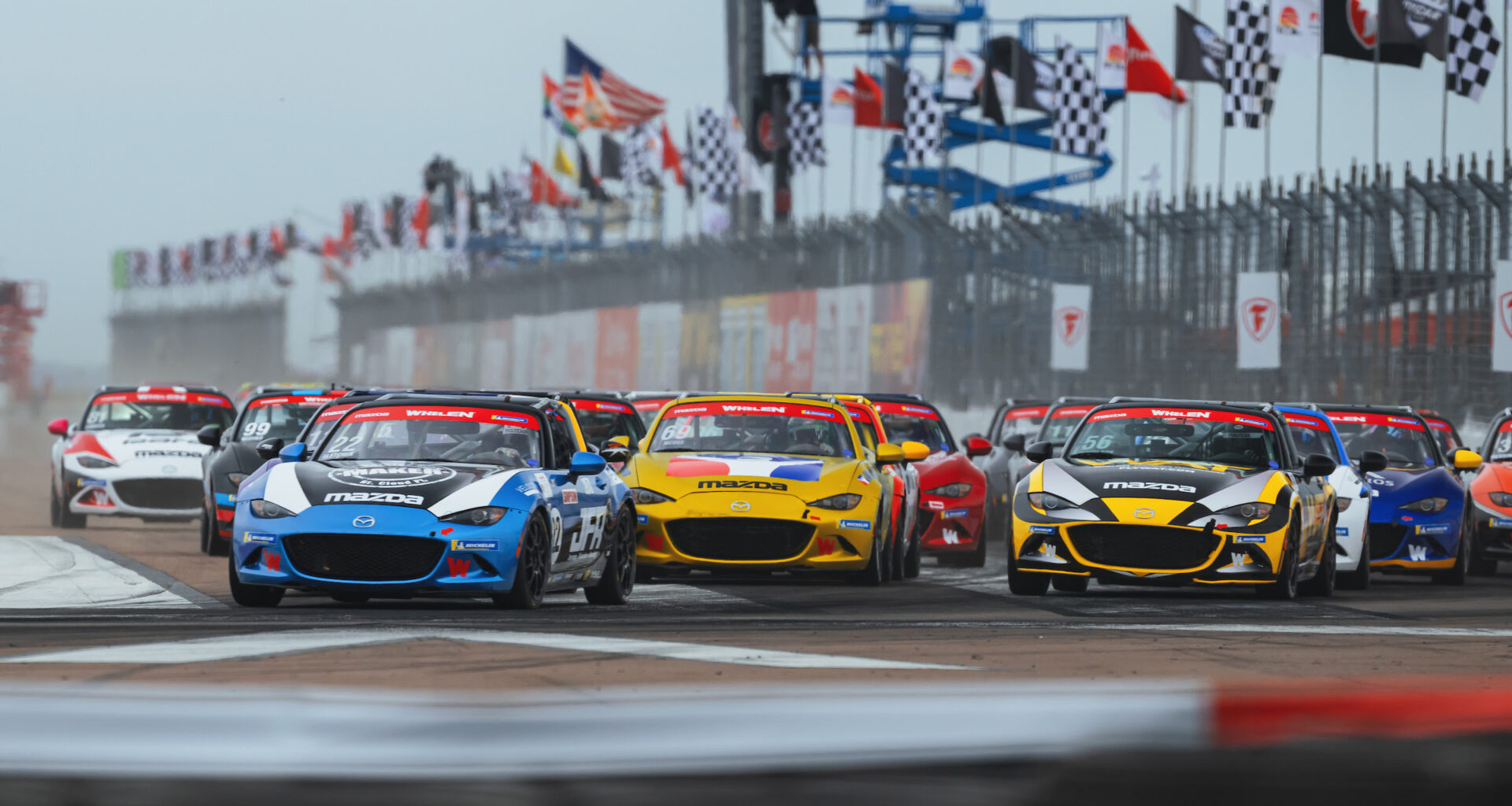 Best New Zealand Online Casinos