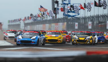 Best New Zealand Online Casinos