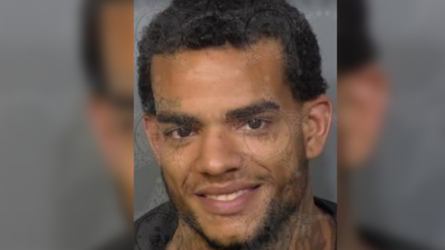 Escaped suspect at large after attacking Melbourne police officers