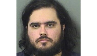 Child and animal pornography found on Florida man's phone