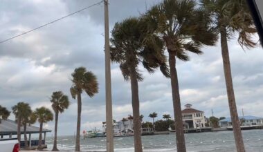 Tampa Bay sees rare snow for the first time in 16 years