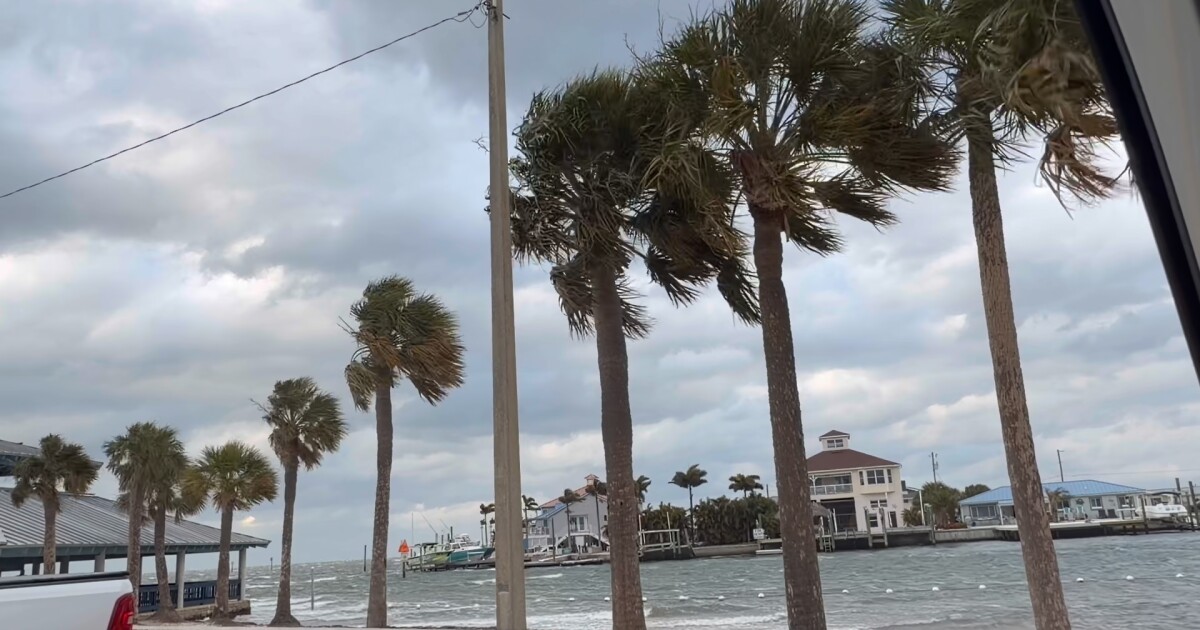 Tampa Bay sees rare snow for the first time in 16 years