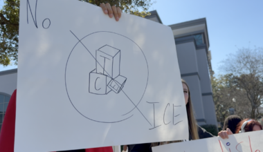 Leon High School students peacefully protest ICE's recent activity