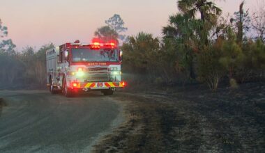 As wildfire risk grows, what Florida homeowners should know
