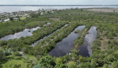 Cape Coral developers withdraw Redfish Pointe development plans