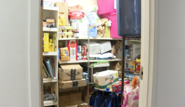 Tallahassee families struggle after detentions remove breadwinners