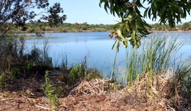 City preserves 105 acres for future generations in $2.5M deal