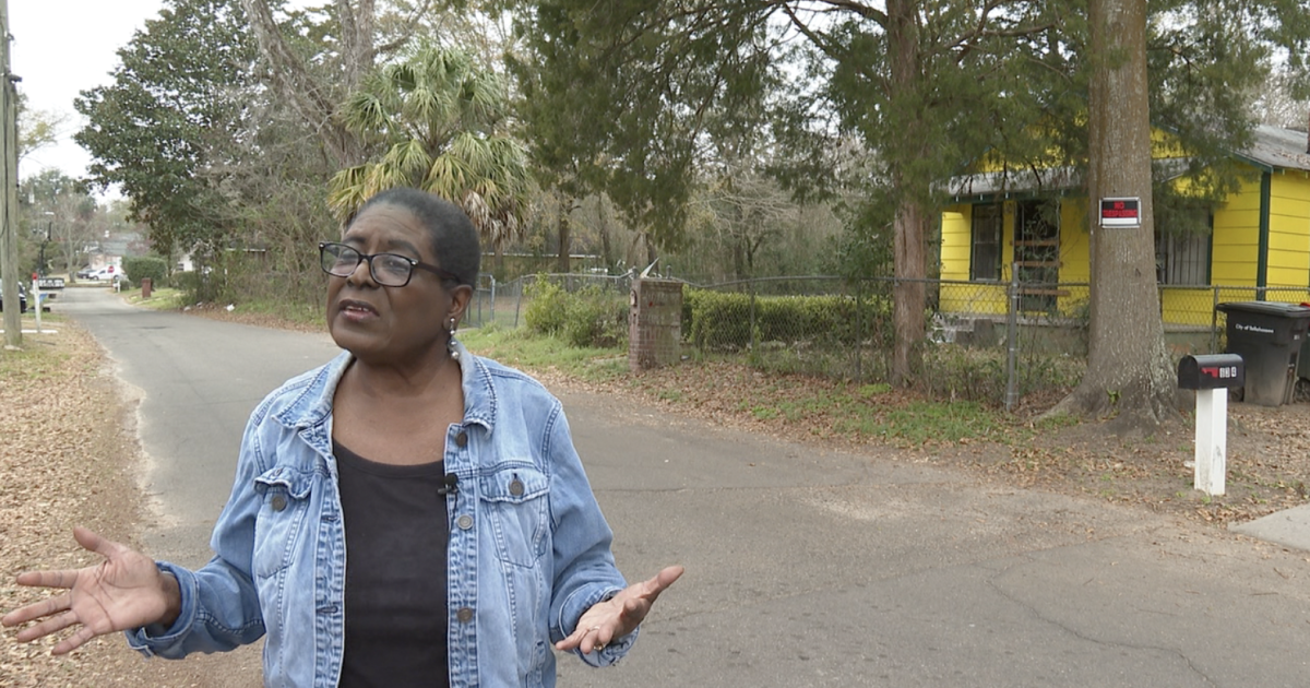 Ethics complaint filed over Tallahassee mural funding