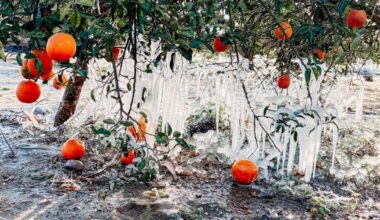 Arctic blast brings record-breaking cold