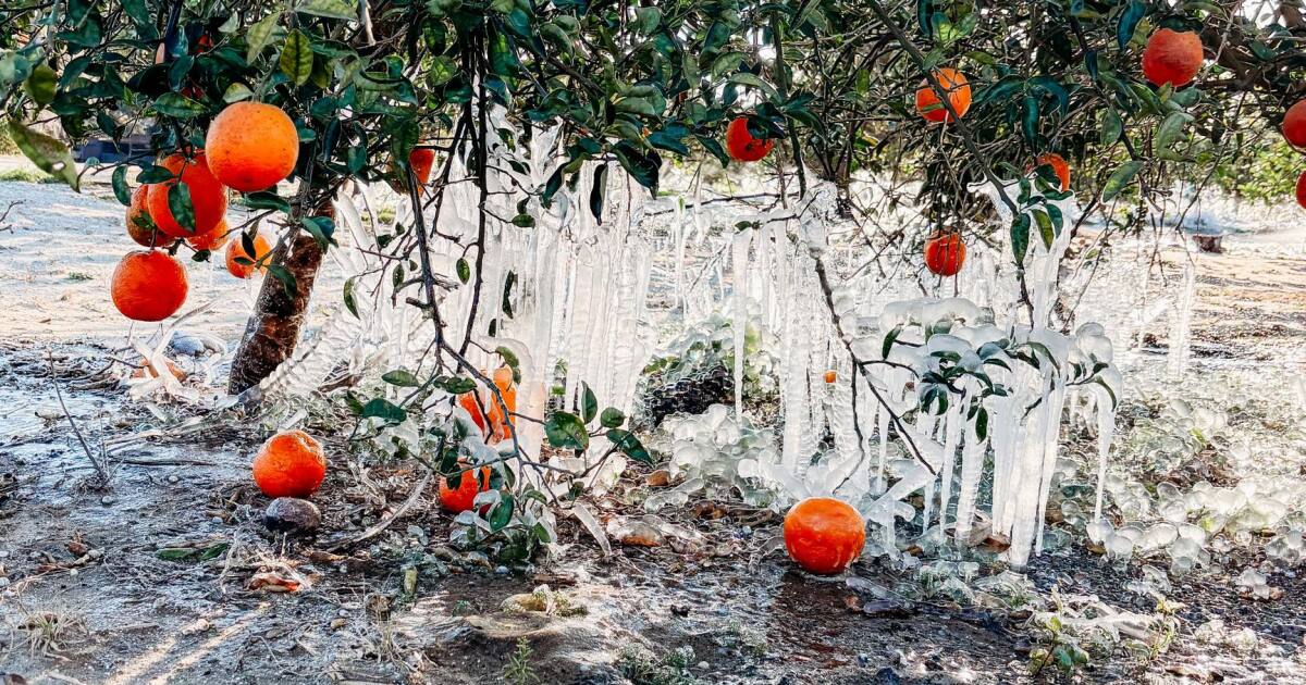 Arctic blast brings record-breaking cold