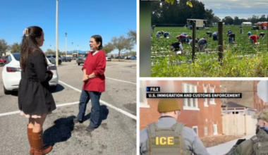 Tampa advocate says migrant families are scared to leave home