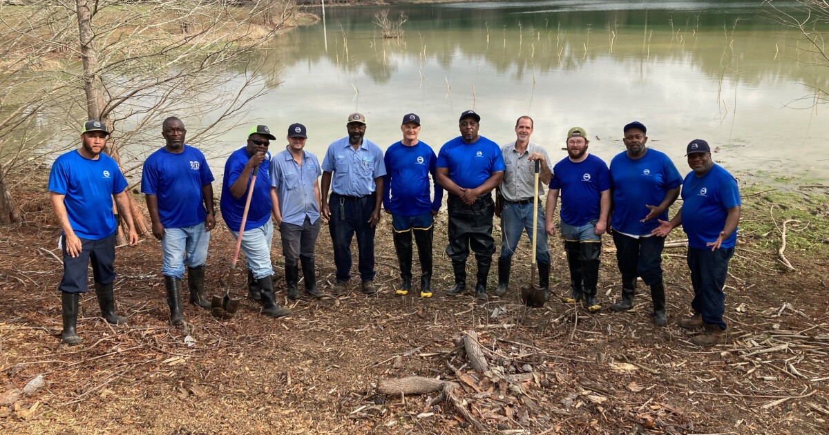 Leon County crew plants 75 cypress trees to promote health of Pedrick Pond