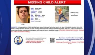 Search underway for missing 17-year-old boy from Tampa: FDLE