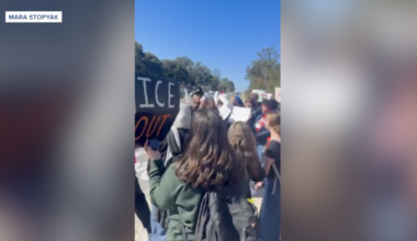 Florida schools set protest guidelines amid student walkouts