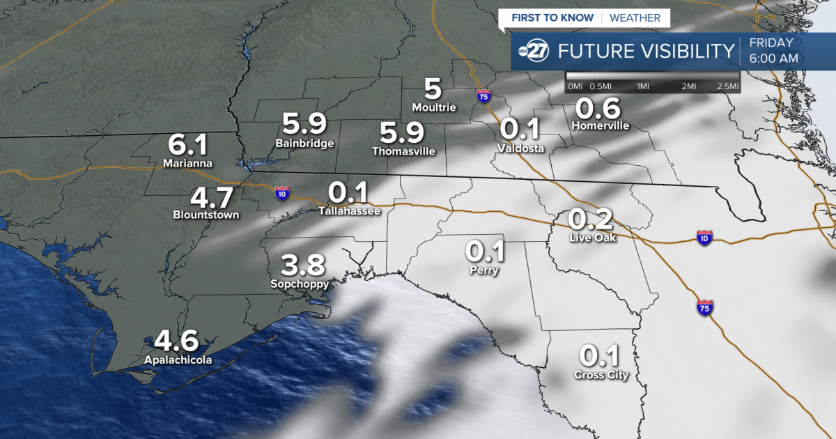 Foggy mornings, cloudy skies, and pockets of showers