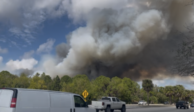 Brush fire burning in Cape Coral